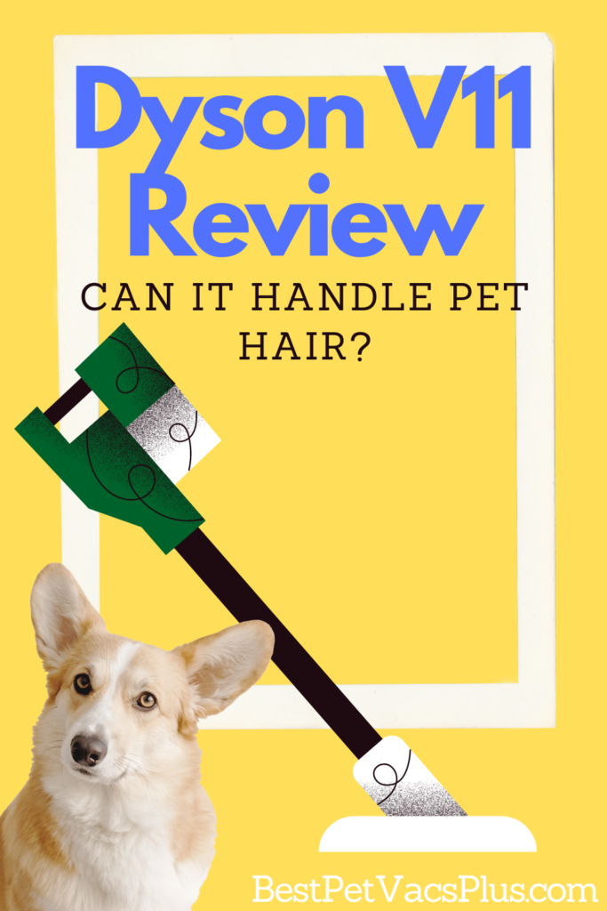 Dyson V11 Review - how the vacuum handles pet hair and is it a good choice for pet owners? Featured image and Pinterest pin image.